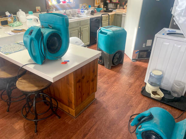 Best Water damage restoration near me  in Riverview, MI