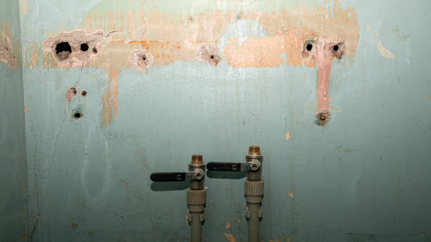  Riverview, MI Water damage restoration Pros