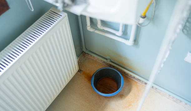 Best 24/7 water damage repair  in Riverview, MI