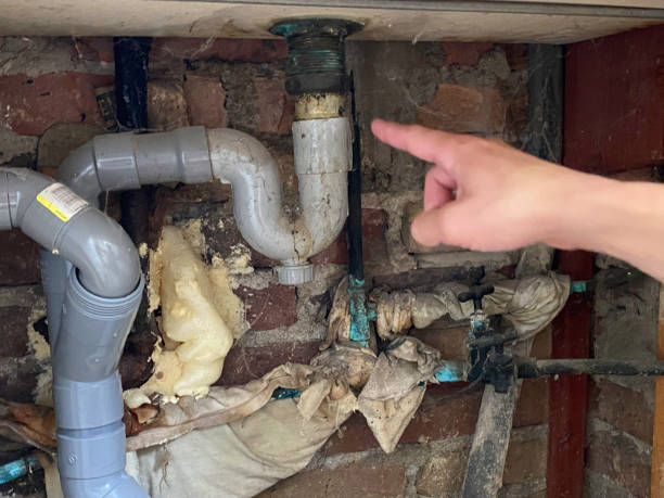Best Water damage restoration near me  in Riverview, MI