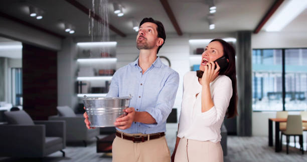 Professional Water damage restoration in Riverview, MI