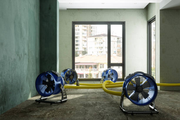 Best Fire Damage Restoration  in Riverview, MI